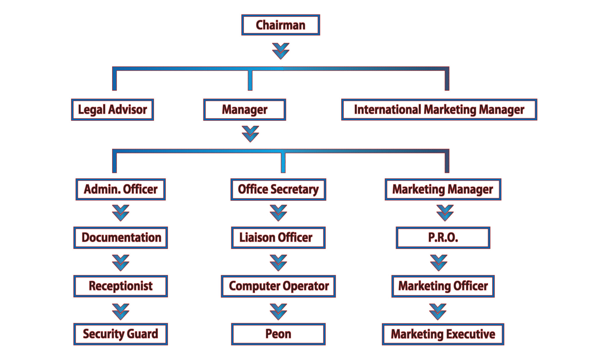 Organizational Structure